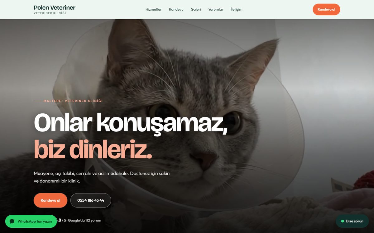 Veteriner web sitesi tasarım örneği, bilgisayar görünümü